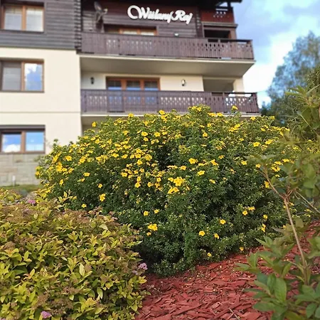 Wislany Raj Affittacamere 3*