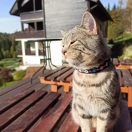 Affittacamere Wislany Raj