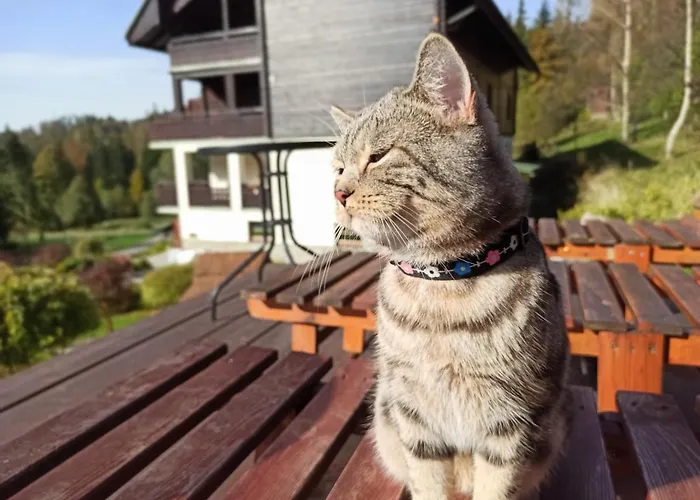 Guest house Wislany Raj