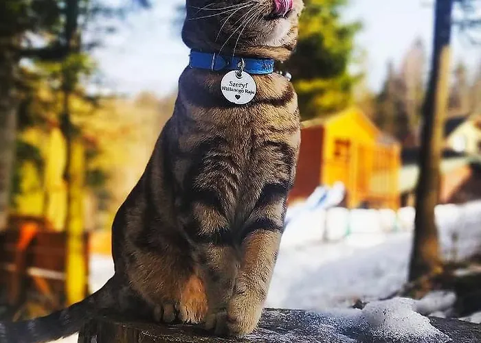 Guest house Wislany Raj