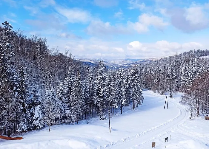 Wislany Raj Guest house Wisla