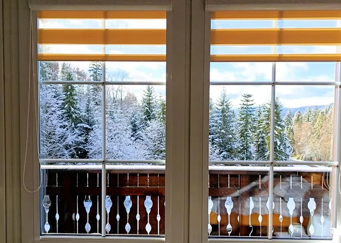 Guest house Wislany Raj 3*